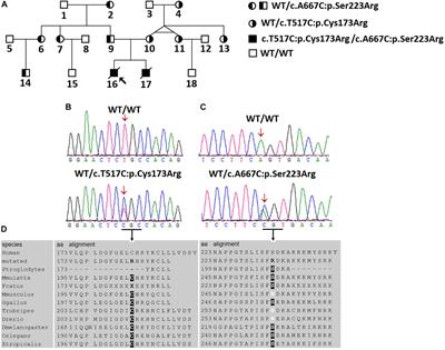 Two Novel AGXT Mutations Cause the Infantile Form of Primary Hyperoxaluria Type I in a Chinese Family: Research on Missed Mutation